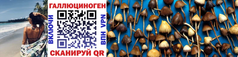 Купить где  Мирный  Галлюциногенные грибы прущие грибы 